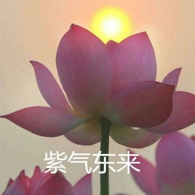 兰若情缘之剑灵游戏下载